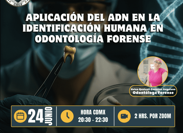 Captura de pantalla 2025-06-23 a las 10.10.53 p. m.